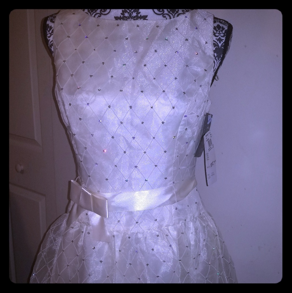 Nwt adriana papell evening dress